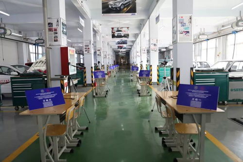 汽車運(yùn)用與維修新紀(jì)元 智能新能源汽車職業(yè)技能等級(jí)證書試點(diǎn)考評(píng)圓滿成功